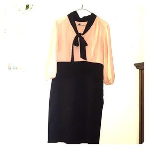 Light Pink n Black Dressy Dress in Pencil Skirt